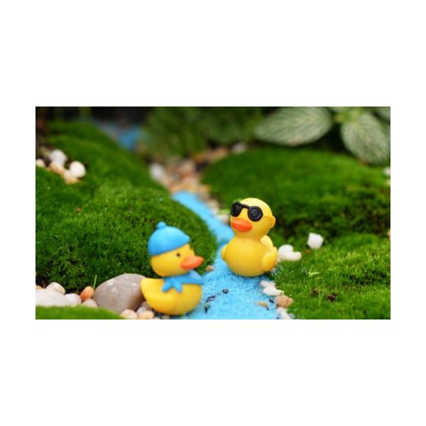 ■商品詳細セット内容：1羽フィギュアサイズ：約1.8*2.6cm材質：PVCプラスチック生産国：中国チャーミングでかわいい商品です車やお部屋のオブジェにはもちろん、ディスプレイ等のパーツ素材にもおすすめです。水槽飾り スノードームづくり テ...