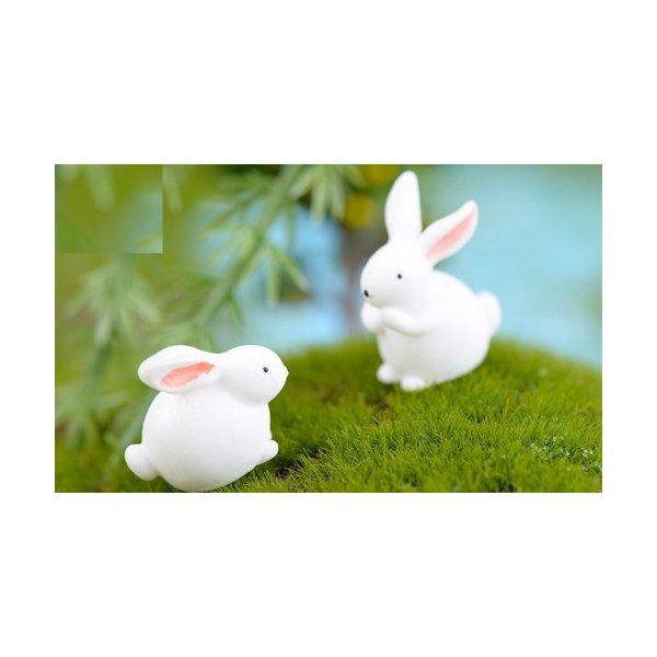 白うさぎ5個セット テラリウムフィギュア 動物 フィギュア ミニチュア ミニフィギュア コケリウム テラリウムキット Chenj 1 テラリウム専門店takara 通販 Yahoo ショッピング