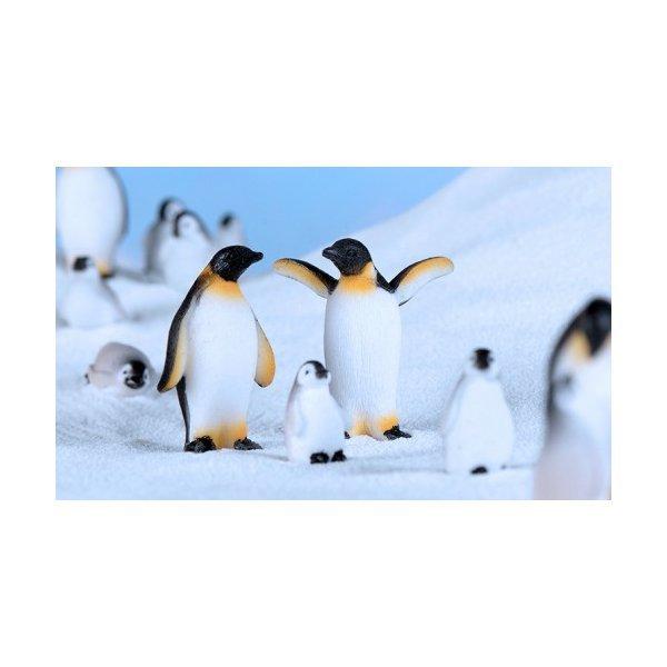 ペンギン模型 小 アザラシ ぺんぎん プラモデル 動物フィギュア テラリウム フィギュア アクアリウム ミニフィギュア コケリウム ジオラマ 箱庭  かわいい