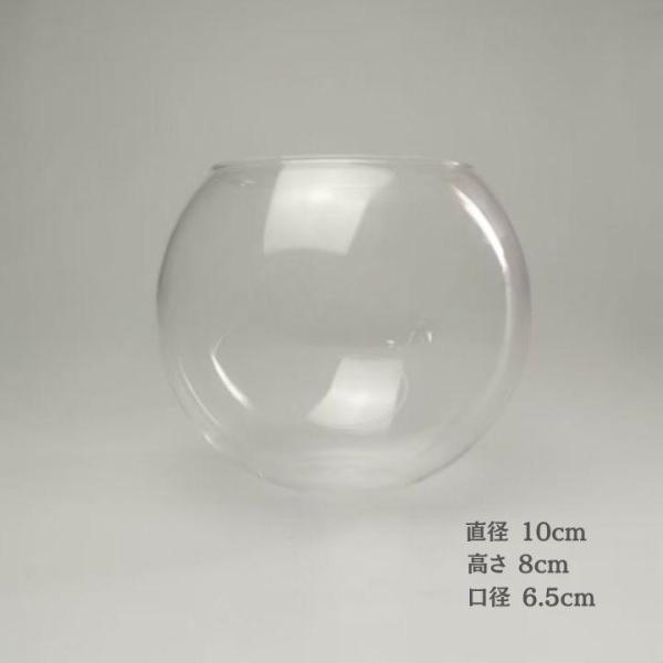 ガラス容器 円形水槽 2サイズ ガラスボトル ガラスポット コケリウム容器 アクアリウム テラリウム サークルボール インテリア 植木鉢