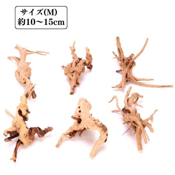 流木 ブランチウッド 8~15cm 形お任せ テラリウム コケリウム 水槽飾り レイアウト 自然風景作り