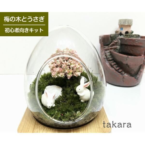 ＊イベント向け大量注文承ります。商品名【樹の下の動物たち】サイズ（ガラス容器のみ）幅約9.5cm 高さ約11cmキット内容・ガラス容器(幅約9.5cm 高さ約11cm)・竹マット・苔（山ゴケ）・固定ピン付きフィギュア・模型樹木1本・小石 2...