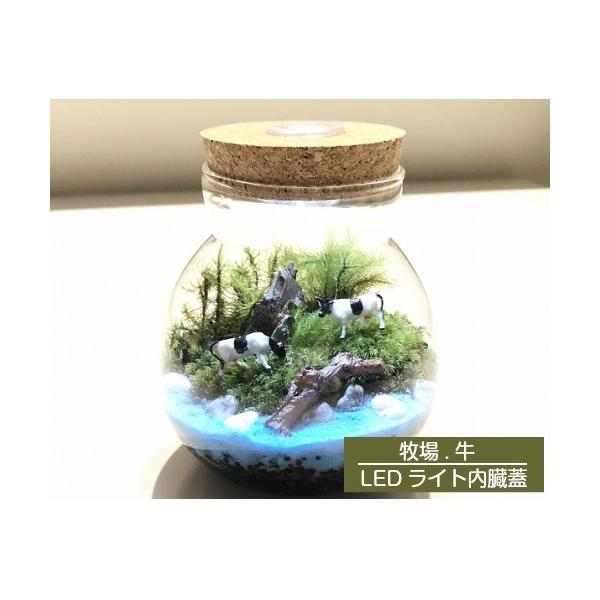 商品名【牧場】LEDライト内臓蓋サイズ高さ約13cm(蓋は含みません）キット内容・ガラス容器（高さ約13cm）・苔（ホソバオキナゴケ&amp;シッポコケ&amp;ヒノキゴケ）・フィギュア（3体）・化粧砂（1袋）・小石（1袋）・気孔石　1個（...