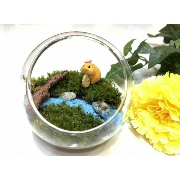 *イベント向け大量注文承ります。商品名【野原でのんびり】サイズ高さ約9cmキット内容・ガラス容器（高さ約9cm）・竹マット・苔（ホソバオキナゴケ）・フィギュア（2体）・化粧砂（1袋）・小石（1袋）・苔リウム専用ソイル（1袋）・霧吹き・ピンセ...