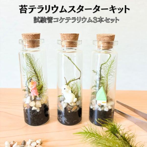 苔テラリウム制作キット 試験管3本セット コケテラリウム コケインテリア 母の日ギフト コケリウム お誕生日 おうち時間 ワークショップ イベント