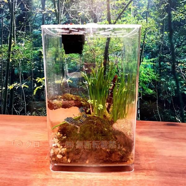 爬虫類 ケージ 水槽 ゲージ トカゲ カメレオン サソリクローバー