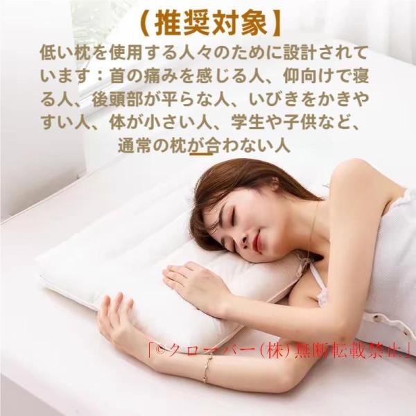 期間限定 低めの枕 ローピロー 低い枕 洗える 防ダニ 柔らかい 蛍光増