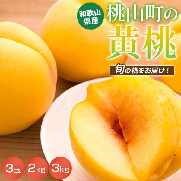 【順次発送開始！】【送料無料】桃 お中元【黄桃】 ギフト 和歌山 桃山町 品種おまかせ 3玉 2kg 3kg 希少品種 黄色 もも 冷蔵便 クール便 産地直送 フルーツ 果