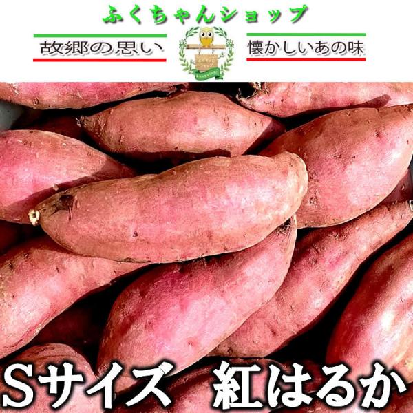 n@Y܂@g͂邩@rTCY@2kg