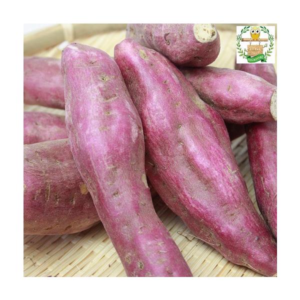 ynzY܂yg͂邩@lTCY@z2kg