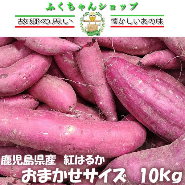 n@Y ܂@g͂邩@܂10kg