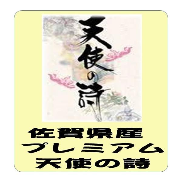 天使の詩 佐賀県産 プレミアム 天使の詩 令和6年産 白米5kg 送料 天使の詩 佐賀県産 プレミアム 天使の詩 令和6年産 白米5kg 送料