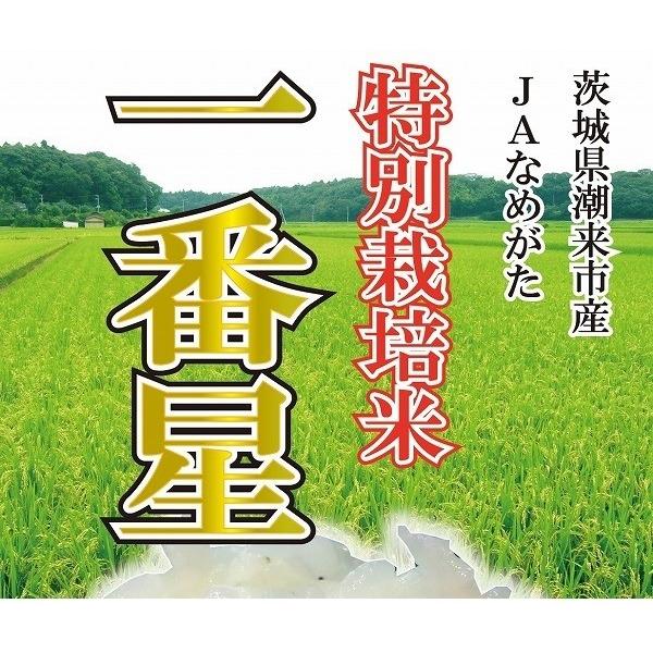 茨城県産 特別栽培米 一番星 令和6年産 白米5kg 送料無料（本州のみ