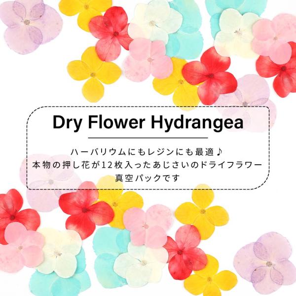 押し花 梅雨 お花 選べる６色 あじさい メール便対応 アジサイ 紫陽花 レジンクラフト 手作り レジン ハンドメイド D Flower 21 東京タカラネイル 通販 Yahoo ショッピング