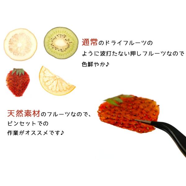 押しフルーツ いちごちゃん Www Vetrepro Fr