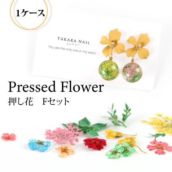 押し花 12種 Fセット ダイヤルケース入り メール便対応 レジン封入 ドライフラワー プレスフラワー ハーバリウム素材 D Flower 28 東京タカラネイル 通販 Yahoo ショッピング