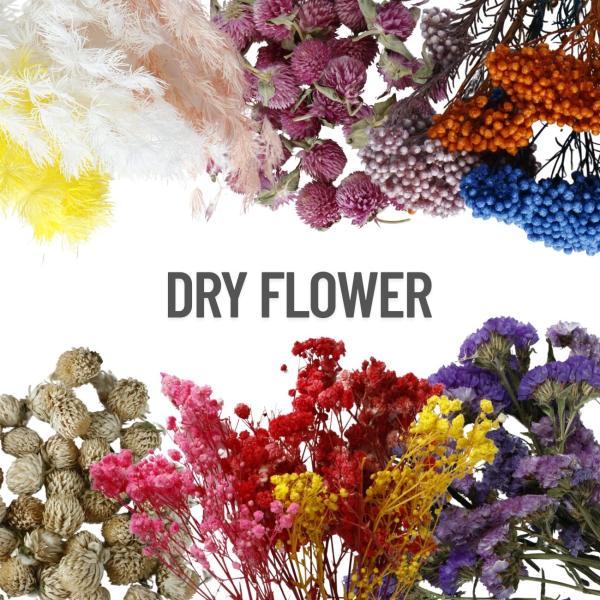 ■ご購入前にご確認ください■こちらの商品は天然のお花を加工した商品です。花びらのかけ、ちぎれ、色ムラ等ございます。また、お花の大きさもバラツキがございます。押し花はとっても繊細で壊れやすいので、ご使用時には十分お気を付けください。【ITEM...