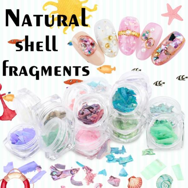 【期間限定価格】【シェル】少し大きめシェルフレーク【メール便対応】　15色 好きな色を選んで買える