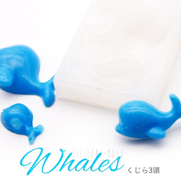 VR[h@NW ~ CJ 3y[֑ΉzUVWNtg VR[h nhCh@W @| VR^ W^