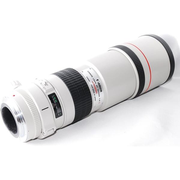 高級Lレンズ 手振れ EF 300mm F4 L IS USM fkip.unmul.ac.id
