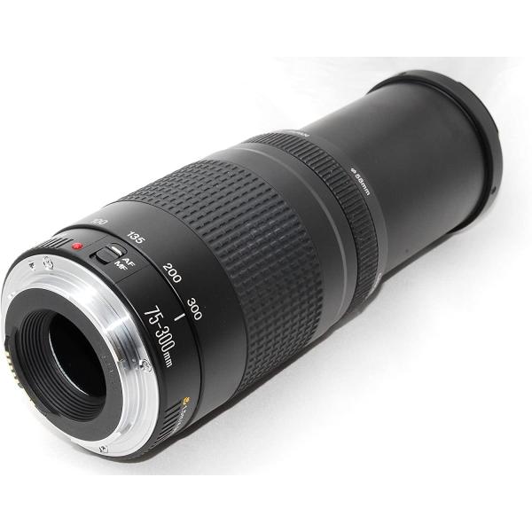 キヤノン Canon EF 75-300mm F4-5.6 II USM キヤノン ズームレンズ 中古 :EF75-300-2-20:トレジャーカメラ - 通販 - Yahoo!ショッピング キヤノン Canon EF 75-300mm F4-5.6 II USM キヤノン ズームレンズ 中古 :EF75-300-2-20:トレジャーカメラ - 通販 - Yahoo!ショッピング