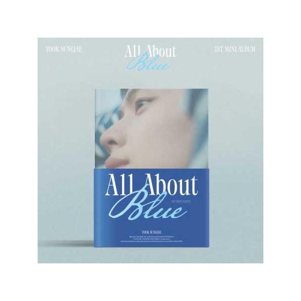 25/6/20 韓国発売】Yook Sung Jae ユク ソンジェ 1ST MINI All About