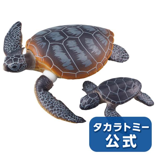 AjA AS-20 AIE~Keq(ɕVer.)