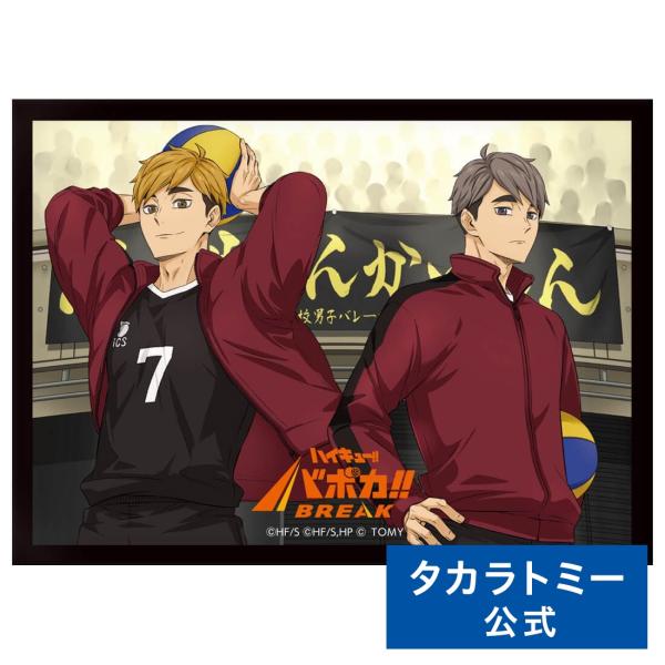 タカラトミー（TAKARA TOMY） ハイキュー!! バボカ!! BREAK DXカード