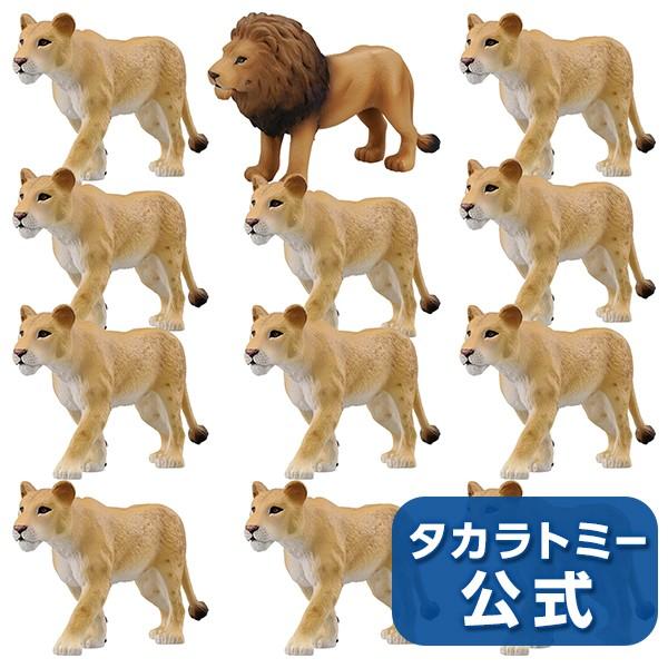 アニア ライオンの群れセット ライオン 1 メスライオン 11 タカラトミーモールpaypayモール店 通販 Paypayモール