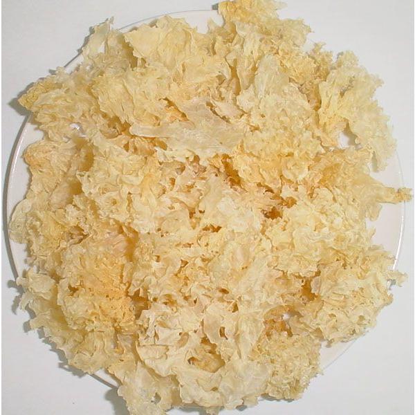 炰 500g YiܖF2026.05.30j⎨ ؎ LNQ 