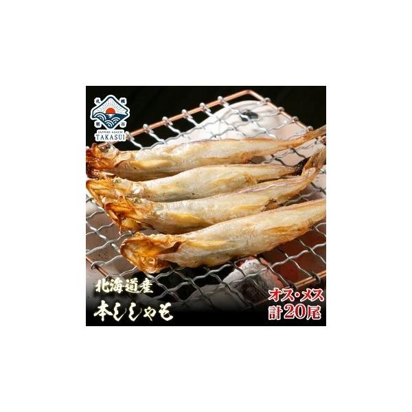 子持ちししゃも10尾とオスのししゃも10尾がセット 北海道日高産の本物のシシャモです ししゃも 子持ち お歳暮 年末年始 ギフト Buyee Buyee 일본 통신 판매 상품 옥션의 대리 입찰 대리 구매 서비스