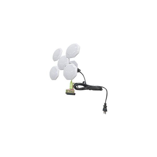 ○素材の注意書きお使いのモニターの発色具合によって、実際のものと色が異なる場合がございます。