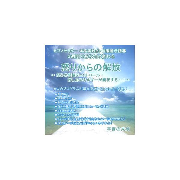 ヒプノセラピー本格実践的 催眠暗示誘導 3週間であなたは変わる 怒りからの解放 怒りの感情をコントロール 許しのエネルギーが開花する 鈴木光彰 Buyee Buyee 日本の通販商品 オークションの代理入札 代理購入