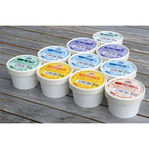 開田高原 アイスクリーム10個セット バニラ とうもろこし えごま そば ブルーベリー ヨーグルト 送料込 ※北海道1000円、沖縄1200円別途必要