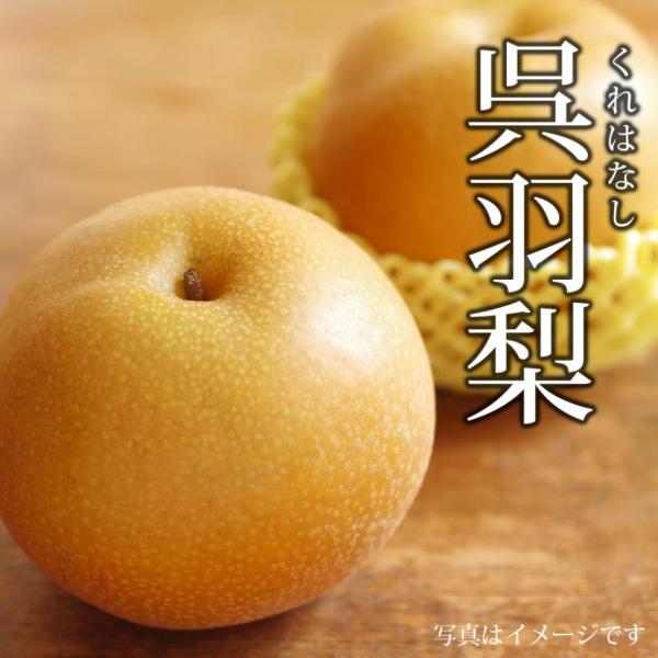 富山県 呉羽梨 クレハナシ  1.6kg (6玉)  中玉 送料込 同梱不可 日付指定不可 ※北海道1000円、沖縄1200円別途必要