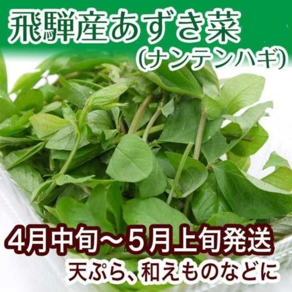 岐阜県飛騨産あずき菜です。4月〜5月ＧＷ頃まで予定長いふゆごもりが終わりを告げ、飛騨に春がやってきました♪飛騨の春祭りに並ぶ「ごちそう」のひとつです。＜食べ方＞ 天ぷらは打ち粉をした後、かき揚げの要領で、といた天ぷら粉をまぶして揚げます。ほ...