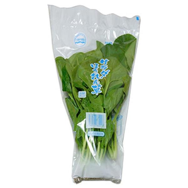 ˎY T_ ق zE\E @A ق񂻂 Y 򕌌