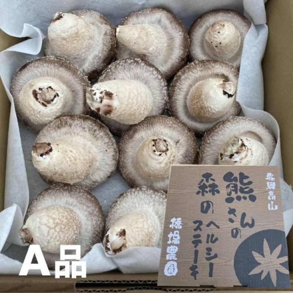 1週間前後で発送。日付指定不可。通常の椎茸より巨大なじゃんぼしいたけ。菌床椎茸です。森のヘルシーステーキ。415号という菌種です。箱を開けた瞬間「わっ！大きい！」と驚かれると思います。この大きさは食べ応えがあります。ぷりぷりと肉厚で歯ごたえ...