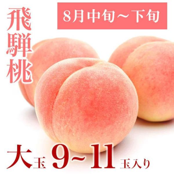 【8月中旬〜下旬発送】 飛騨桃 大玉 9〜11玉 3kg 箱入 品種替わり 岐阜県 飛騨もも 贈答 同梱不可 送料込 ※北海道1000円、沖縄1200円別途必要