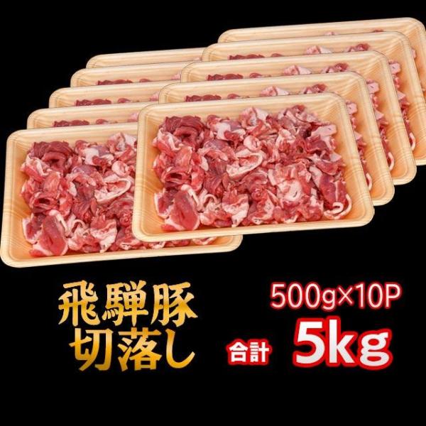 飛騨豚 国産 豚肉 切り落とし 5kg (500g×10パック) 小間切れ肉 細切れ肉