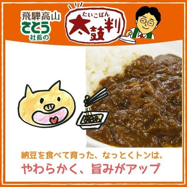5 飛騨なっとく豚カレー 5袋セット 中辛 地元のおいしいお店と一緒につくった ご当地カレー 飛騨 高山 特産品 グルメ 岐阜 999 33 173 5 飛騨高山ご当地スーパーさとう 通販 Yahoo ショッピング
