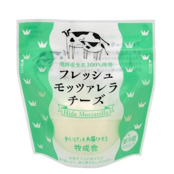 q tbV  bc@ `[Y 100ڂ ˎY 100% gp  Ð {  C ܂