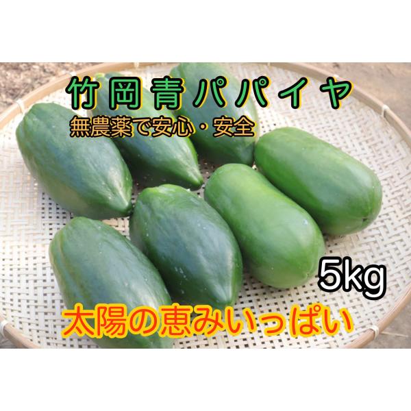 千葉県富津市産 青パパイヤ 約5kg（5〜10玉）酵素　腸活　ダイエット　野菜　ソムタム　サラダ　国産　無農薬　産地直送