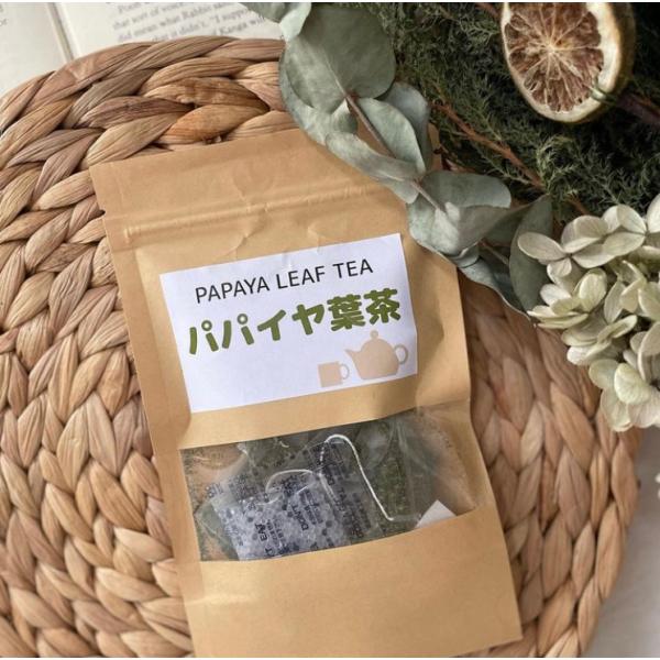 パパイヤ茶 ティーパック 50g 25袋入り 酵素たっぷり腸活 ダイエット ノンカフェイン