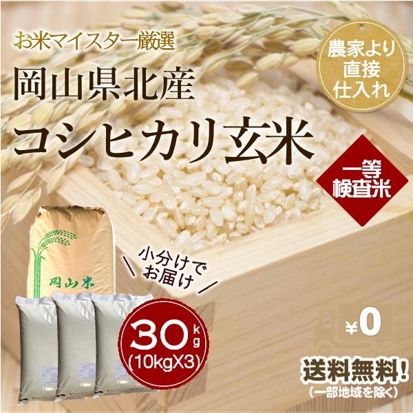 定価 玄米 30kg2袋 京都 丹後 米 コシヒカリ 送料無料 agapeeurope.org