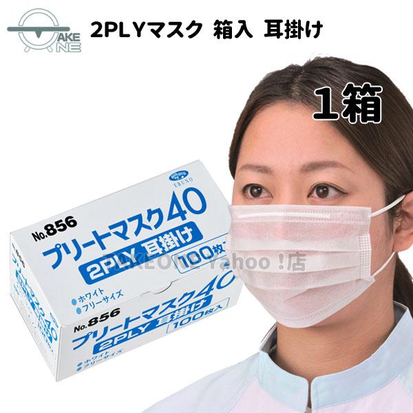 エブノ 飛沫防止 2層マスク 不織布 1箱100枚入 プリートマスク40 2PLY