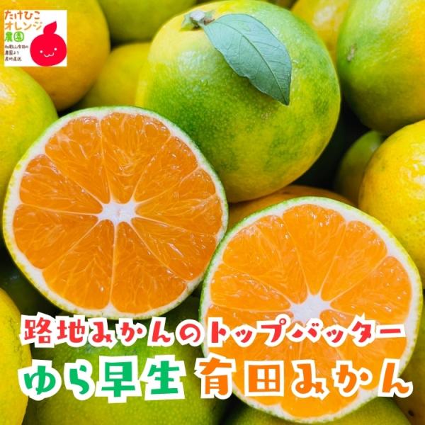 ゆら早生有田みかん