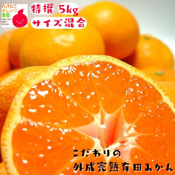 有田みかん 特撰 こだわりの外成完熟 5kg_ ギフト お歳暮 フルーツ