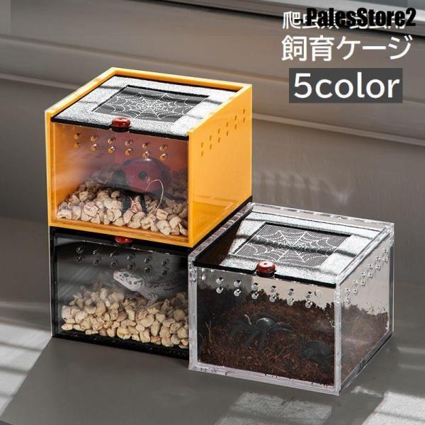 飼育ケージ 飼育ケース 爬虫類用 昆虫用 トカゲ ヤモリ 蜘蛛