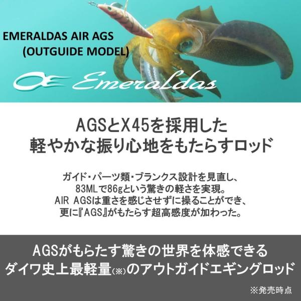 素敵でユニークなのダイワ Daiwa ティップランロッド スピニング エメラルダス Air Ags 511ml S Boat ティップラン 釣り竿 一番人気モデルの